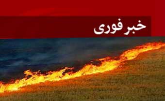  عصر امروز رخ داد: آتش سوزی در گندم زارهای روستای نوچمن گرگان + تصاویر واقعی آتش سوزی